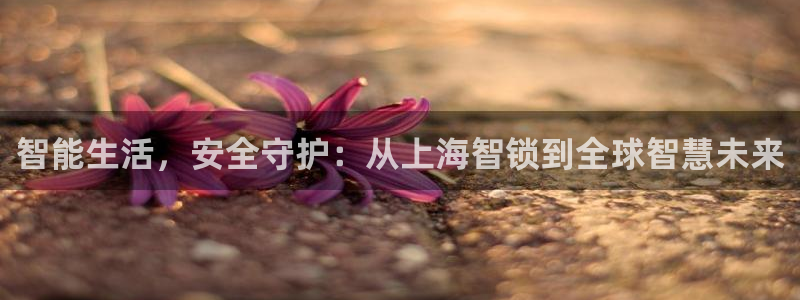 开丰娱乐登录平台下载：智能生活，安全守护：从上海智锁到全球智
