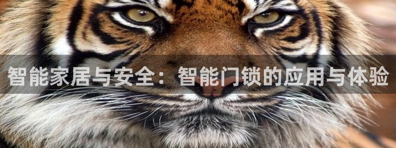 开丰娱乐怎么开转点：智能家居与安全：智能门锁的应用与体验