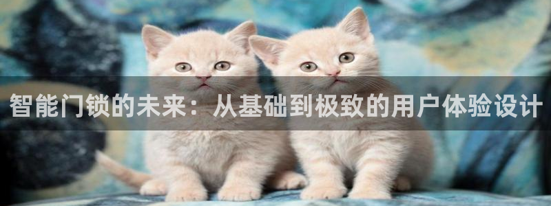 开丰娱乐官网登录网址：智能门锁的未来：从基础到极致的用户体验