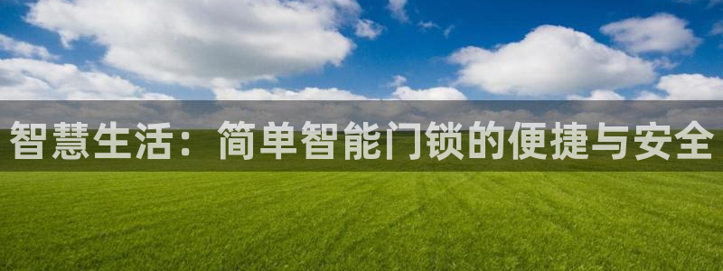 开丰娱乐日：智慧生活：简单智能门锁的便捷与安全