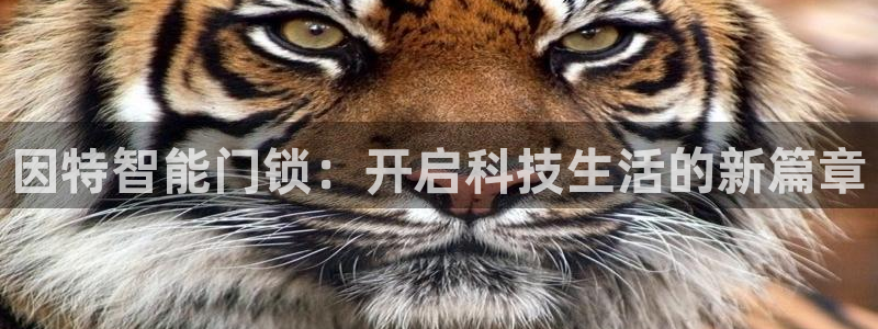 开丰娱乐平台提现失败：因特智能门锁：开启科技生活的新篇章